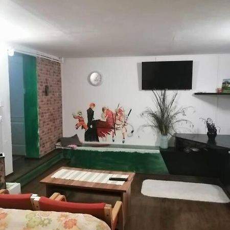 Appartement Moss'S Cave à Timişoara Extérieur photo
